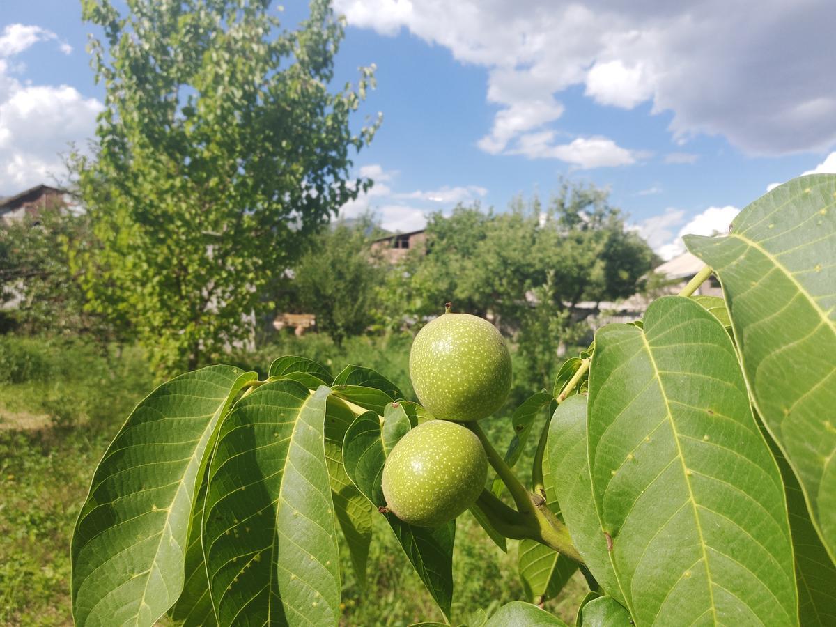 Gayane & Khikar B&B Chʼiva Екстериор снимка