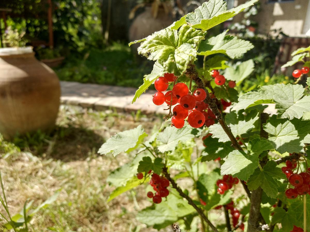 Gayane & Khikar B&B Chʼiva Екстериор снимка